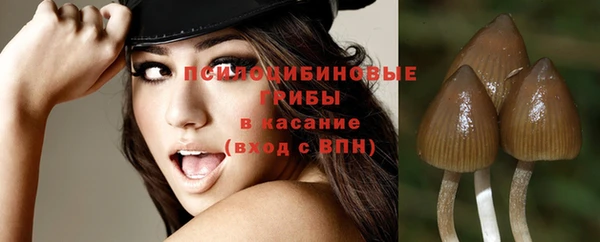 MDMA Белокуриха